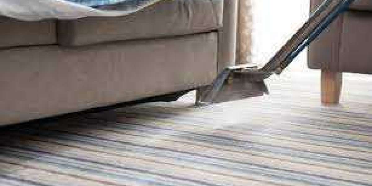 Transform Your Home: Professional Carpet Cleaning Essentials