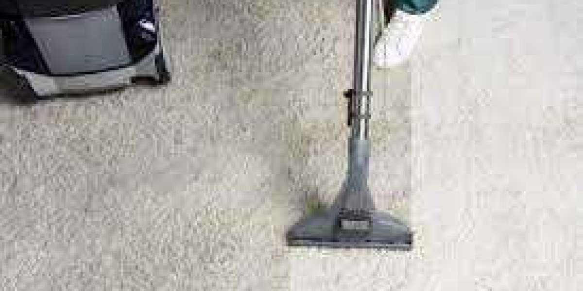 Healthy Habits, Clean Homes: Professional Carpet Cleaning Insights