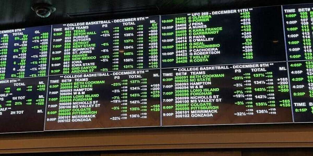 Ultimate Guide to Sports Betting Sites