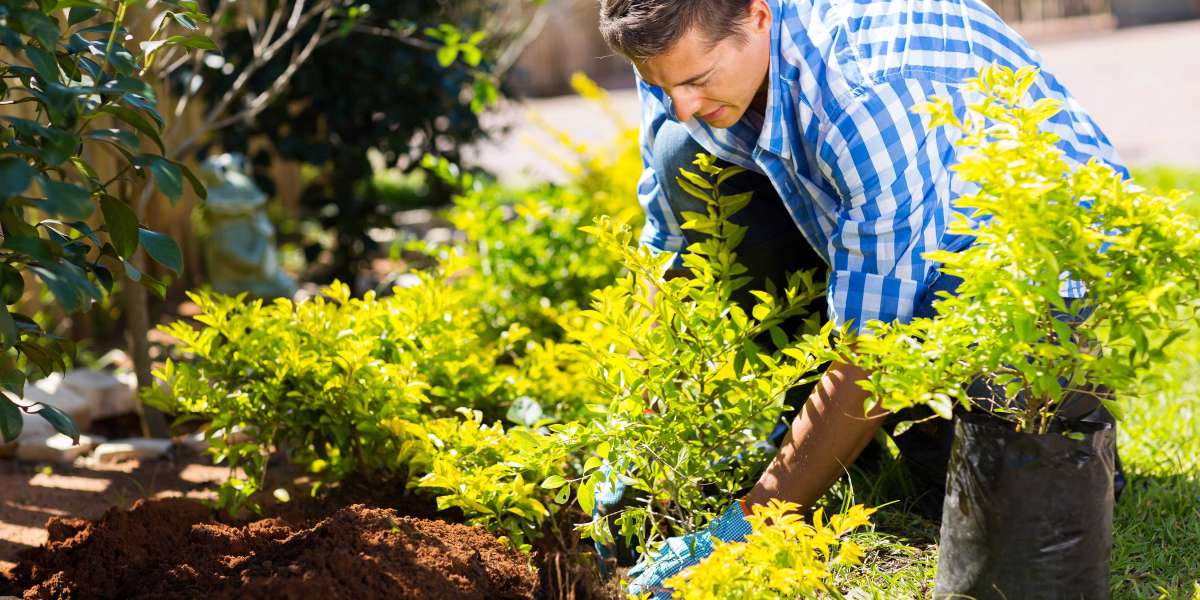 When to Schedule Seasonal Landscaping Maintenance?