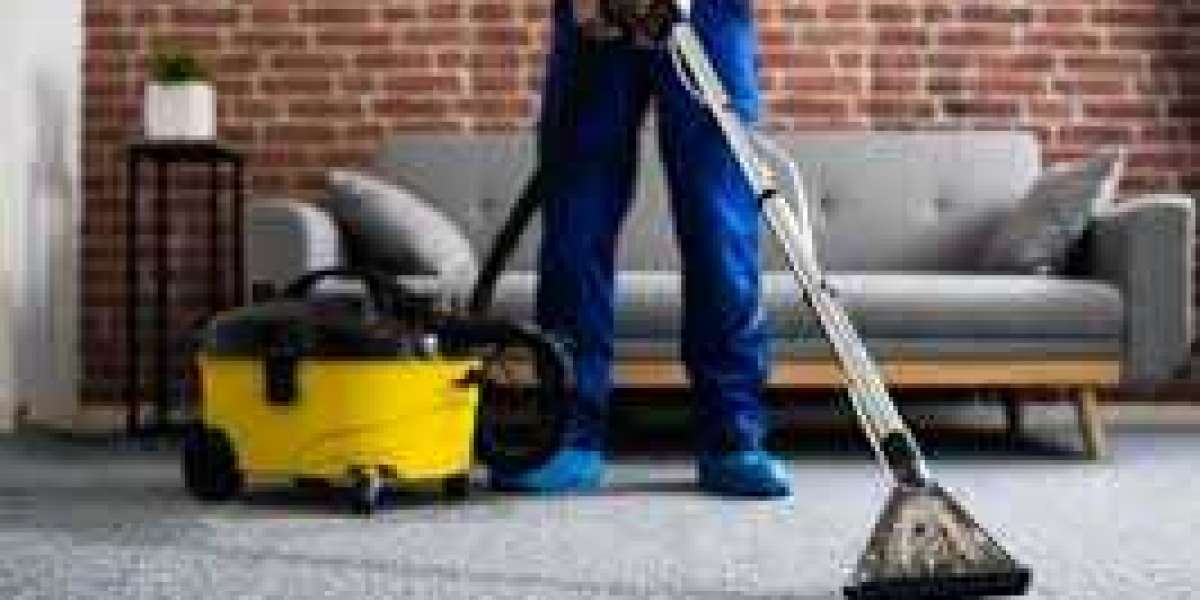 Why Regular Carpet Cleaning Should Be Part of Your Home Wellness Routine