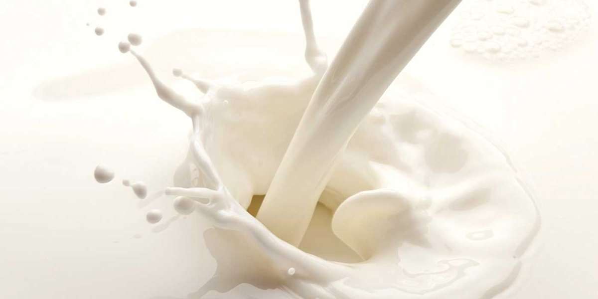 The Future of Milk in Pakistan: How to Buy Fresh Dairy Products Online